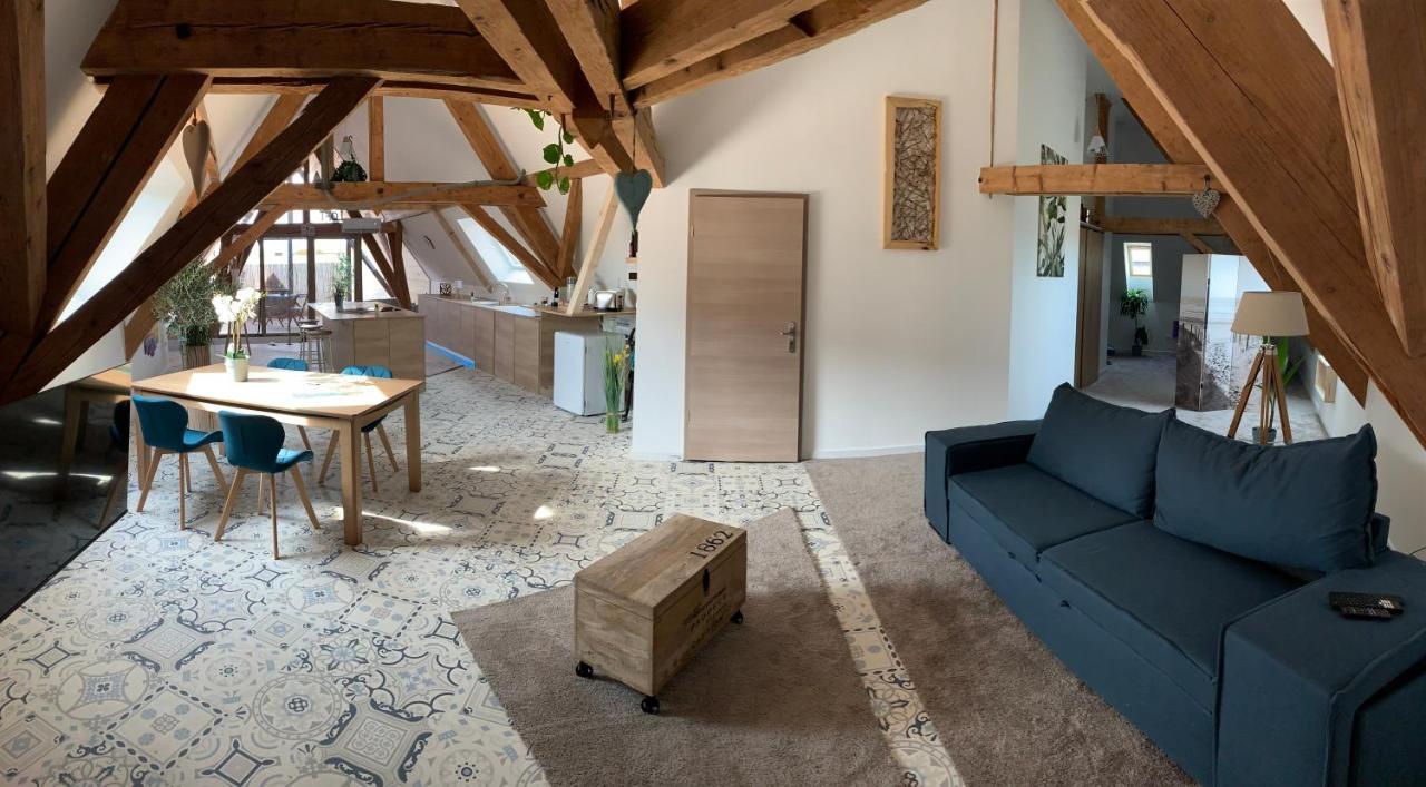 Nid De Cigogne Apartment Illhaeusern Exterior foto