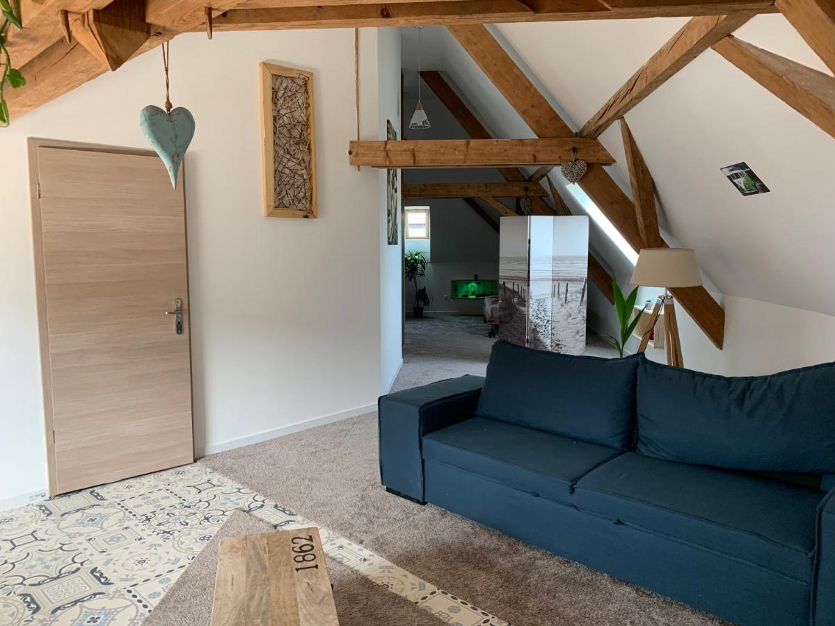 Nid De Cigogne Apartment Illhaeusern Exterior foto